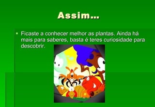 Assim… Ficaste a conhecer melhor as plantas. Ainda há mais para saberes, basta é teres curiosidade para descobrir. 