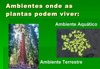 Ambientes onde as plantas podem viver: Ambiente Aquático Ambiente Terrestre 