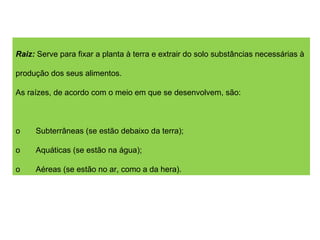Raiz:  Serve para fixar a planta à terra e extrair do solo substâncias necessárias à produção dos seus alimentos. As raízes, de acordo com o meio em que se desenvolvem, são:   o       Subterrâneas (se estão debaixo da terra); o       Aquáticas (se estão na água); o       Aéreas (se estão no ar, como a da hera). 