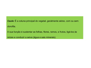 Caule:  É a coluna principal do vegetal, geralmente aéreo, com ou sem clorofila.  A sua função é sustentar as folhas, flores, ramos, e frutos, ligá-los às raízes e conduzir a seiva (água e sais minerais).  