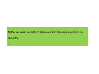 Folha:  As folhas permitem à planta respirar, transpirar e produzir os alimentos.  . 