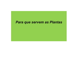 Para que servem as Plantas 