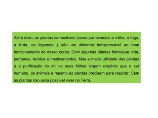 Além disto, as plantas comestíveis (como por exemplo o milho, o trigo, a fruta, os legumes...) são um alimento indispensável ao bom funcionamento do nosso corpo. Com algumas plantas fabrica-se tinta, perfumes, tecidos e medicamentos. Mas a maior utilidade das plantas é a purificação do ar: as suas folhas largam oxigénio que o ser humano, os animais e mesmo as plantas precisam para respirar. Sem as plantas não seria possível viver na Terra. 