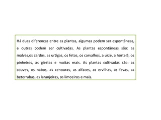 Há duas diferenças entre as plantas, algumas podem ser espontâneas, e outras podem ser cultivadas. As plantas espontâneas são: as malvas,os cardos, as urtigas, os fetos, os carvalhos, a urze, a hortelã, os pinheiros, as giestas e muitas mais. As plantas cultivadas são: as couves, os nabos, as cenouras, as alfaces, as ervilhas, as favas, as beterrabas, as laranjeiras, os limoeiros e mais. 