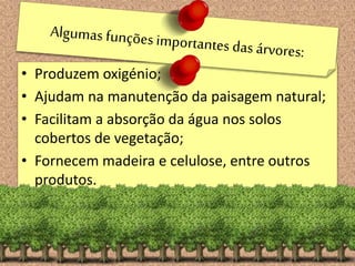 • Produzem oxigénio;
• Ajudam na manutenção da paisagem natural;
• Facilitam a absorção da água nos solos
cobertos de vegetação;
• Fornecem madeira e celulose, entre outros
produtos.
 