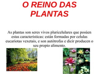 O REINO DAS
PLANTAS
As plantas son seres vivos pluricelulares que posúen
estas caracteristicas: están formadas por celulas
eucariotas vexetais, e son autótrofas e dicir producen o
seu propio alimento.
 