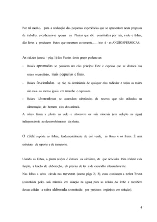4
Por tal motivo, para a realização das pequenas experiências que se apresentam nesta proposta
de trabalho, escolheram-se apenas as Plantas que são constituídas por raiz, caule e folhas,
dão flores e produzem frutos que encerram as semente……isto é - as ANGIOSPÉRMICAS.
As raízes (anexo - pág. 1) das Plantas deste grupo podem ser:
- Raízes aprumadas se possuem um eixo principal forte e espesso que se destaca das
raízes secundárias, mais pequenas e finas.
- Raízes fasciculadas se não há dominância de qualquer eixo radicular e todas as raízes
são mais ou menos iguais em tamanho e espessura.
- Raízes tuberculosas se acumulam substâncias de reserva que são utilizadas na
alimentação do homem e/ou dos animais.
A raízes fixam a planta ao solo e absorvem os sais minerais (em solução na água)
indispensáveis ao desenvolvimento da planta.
O caule suporta as folhas, fundamentalmente de cor verde, as flores e os frutos. É uma
estrutura de suporte e de transporte.
Usando as folhas, a planta respira e elabora os alimentos, de que necessita. Para realizar esta
função, a função de elaboração, ela precisa de luz e de escuridão alternadamente.
Nas folhas a seiva circula nas nervuras (anexo págs 2- 3); estas conduzem a seiva bruta
(constituída pelos sais minerais em solução na água) para as células do limbo e recolhem
dessas células a seiva elaborada (constituída por produtos orgânicos em solução).
 