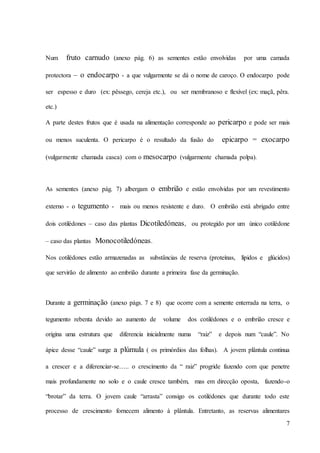 7
Num fruto carnudo (anexo pág. 6) as sementes estão envolvidas por uma camada
protectora – o endocarpo - a que vulgarmente se dá o nome de caroço. O endocarpo pode
ser espesso e duro (ex: pêssego, cereja etc.), ou ser membranoso e flexível (ex: maçã, pêra.
etc.)
A parte destes frutos que é usada na alimentação corresponde ao pericarpo e pode ser mais
ou menos suculenta. O pericarpo é o resultado da fusão do epicarpo = exocarpo
(vulgarmente chamada casca) com o mesocarpo (vulgarmente chamada polpa).
As sementes (anexo pág. 7) albergam o embrião e estão envolvidas por um revestimento
externo - o tegumento - mais ou menos resistente e duro. O embrião está abrigado entre
dois cotilédones – caso das plantas Dicotiledóneas, ou protegido por um único cotilédone
– caso das plantas Monocotiledóneas.
Nos cotilédones estão armazenadas as substâncias de reserva (proteínas, lípidos e glúcidos)
que servirão de alimento ao embrião durante a primeira fase da germinação.
Durante a germinação (anexo págs. 7 e 8) que ocorre com a semente enterrada na terra, o
tegumento rebenta devido ao aumento de volume dos cotilédones e o embrião cresce e
origina uma estrutura que diferencia inicialmente numa “raiz” e depois num “caule”. No
ápice desse “caule” surge a plúmula ( os primórdios das folhas). A jovem plântula continua
a crescer e a diferenciar-se….. o crescimento da “ raiz” progride fazendo com que penetre
mais profundamente no solo e o caule cresce também, mas em direcção oposta, fazendo-o
“brotar” da terra. O jovem caule “arrasta” consigo os cotilédones que durante todo este
processo de crescimento fornecem alimento à plântula. Entretanto, as reservas alimentares
 