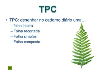 • TPC: desenhar no caderno diário uma…
  – folha inteira
  – Folha recortada
  – Folha simples
  – Folha composta
 