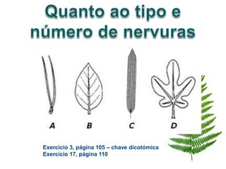 Exercício 3, página 105 – chave dicotómica
Exercício 17, página 110
 