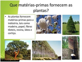 Que matérias-primas fornecem as plantas?As plantas fornecem matérias-primas para a indústria, tais como madeira, papel, fibras têxteis, resina, látex e cortiça. 