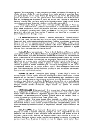 As  Plantas  Magicas