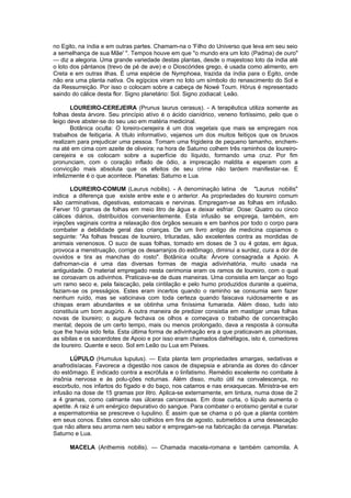 As  Plantas  Magicas