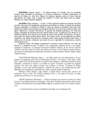 As  Plantas  Magicas