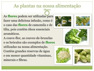 As plantas na nossa alimentação Flores As  flores  podem ser utilizadas para fazer uma deliciosa infusão, como é  o caso das  flores  de camomila e de tília, pois contêm óleos essenciais aromáticos. A couve-flor, as couves-de-bruxelas e os bróculos são exemplos de  flores utilizadas na nossa alimentação. Contêm grandes reservas de água e em menor quantidade vitaminas, minerais e fibras. 