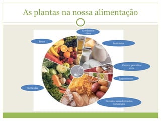 As plantas na nossa alimentação lacticínios Carnes, pescado e ovos Leguminosas Cereais e seus derivados, tubérculos Gorduras e óleos Fruta Hortícolas 