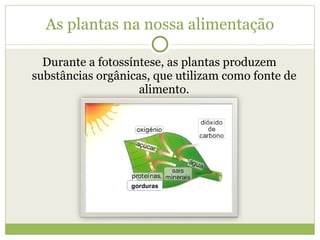 As plantas na nossa alimentação Durante a fotossíntese, as plantas produzem substâncias orgânicas, que utilizam como fonte de alimento. gorduras 