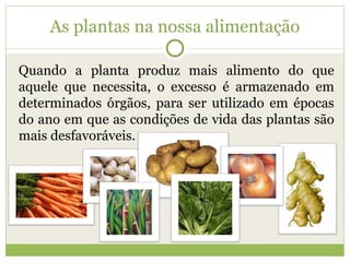 As plantas na nossa alimentação Quando a planta produz mais alimento do que aquele que necessita, o excesso é armazenado em determinados órgãos, para ser utilizado em épocas do ano em que as condições de vida das plantas são mais desfavoráveis. 