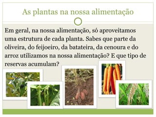 Em geral, na nossa alimentação, só aproveitamos  uma estrutura de cada planta. Sabes que parte da oliveira, do feijoeiro, da batateira, da cenoura e do arroz utilizamos na nossa alimentação? E que tipo de reservas acumulam? As plantas na nossa alimentação 