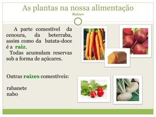 As plantas na nossa alimentação Raízes A parte comestível  da cenoura, da beterraba, assim como da  batata-doce é a  raiz .  Todas acumulam reservas sob a forma de açúcares. Outras  raízes  comestíveis: rabanete nabo 