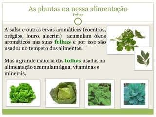 As plantas na nossa alimentação Folhas A salsa e outras ervas aromáticas (coentros, orégãos, louro, alecrim)  acumulam óleos aromáticos nas suas  folhas  e por isso são usados no tempero dos alimentos.  Mas a grande maioria das  folhas  usadas na alimentação acumulam água, vitaminas e minerais. 