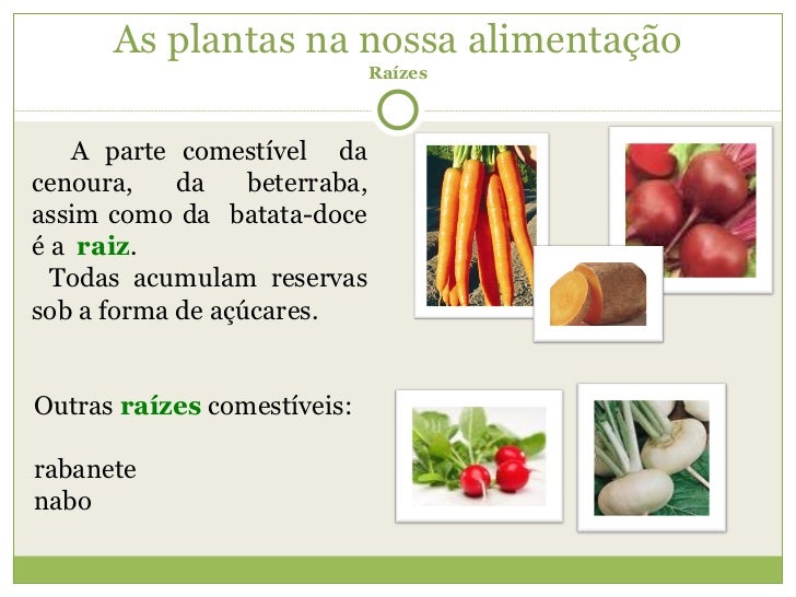 Exemplos Da Utilidade Da Vegetação Na Alimentação