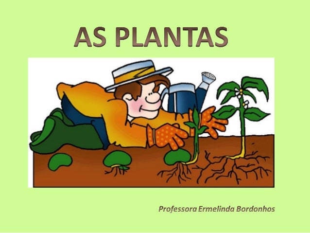 Se observares as plantas que crescem nos canteiros do       Se observares as plantas que crescem nos canteiros do      jar...