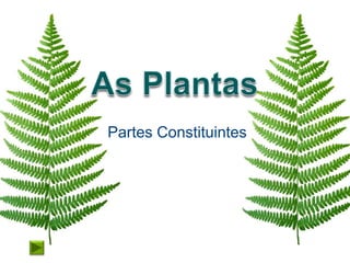 Partes Constituintes
 