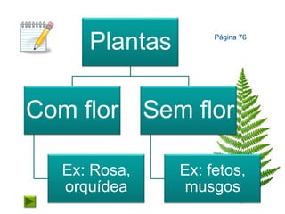 Plantas        Página 76




Com flor Sem flor

  Ex: Rosa,    Ex: fetos,
  orquídea      musgos
 