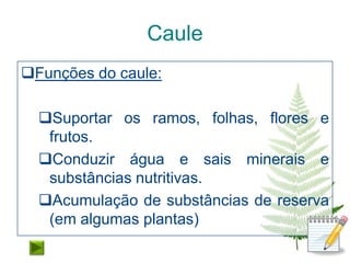 Caule
Funções do caule:

  Suportar os ramos, folhas, flores e
   frutos.
  Conduzir água e sais minerais e
   substâncias nutritivas.
  Acumulação de substâncias de reserva
   (em algumas plantas)
 