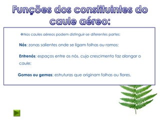 Nos caules aéreos podem distinguir-se diferentes partes:

Nós: zonas salientes onde se ligam folhas ou ramos;

Entrenós: espaços entre os nós, cujo crescimento faz alongar o
caule;

Gomos ou gemas: estruturas que originam folhas ou flores.
 