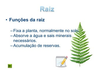 • Funções da raiz

  – Fixa a planta, normalmente no solo.
  – Absorve a água e sais minerais
    necessários.
  – Acumulação de reservas.
 