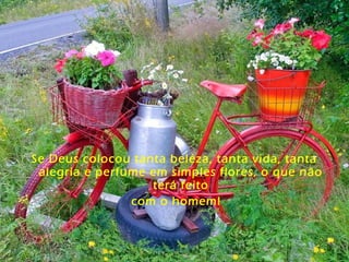 Se Deus colocou tanta beleza, tanta vida, tanta
alegria e perfume em simples flores, o que não
terá feito
com o homem!
 
