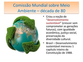 Comissão Mundial sobre Meio
Ambiente – década de 80
Comissão Mundial sobre Meio
Ambiente – década de 80
• Criou a noção de
“desenvolvimento
sustentável” (crescer sem
comprometer as gerações
futuras), com igualdade
econômica, justiça social,
preservação da
diversidade cultural.
• Brasil – Desenvolvimento
sustentável mereceu 1
capítulo inteiro da
Constituição de 1988.
 