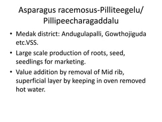 Asparagus racemosus-Pilliteegelu/
Pillipeecharagaddalu
• Medak district: Andugulapalli, Gowthojiguda
etc.VSS.
• Large scale production of roots, seed,
seedlings for marketing.
• Value addition by removal of Mid rib,
superficial layer by keeping in oven removed
hot water.
 