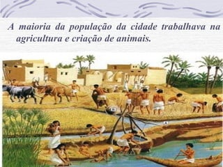 A maioria da população da cidade trabalhava na
agricultura e criação de animais.
 