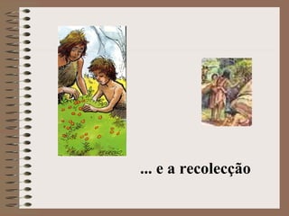 ... e a recolecção 