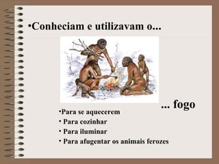 Conheciam e utilizavam o ... Para se aquecerem Para cozinhar Para iluminar Para afugentar os animais ferozes ... fogo 