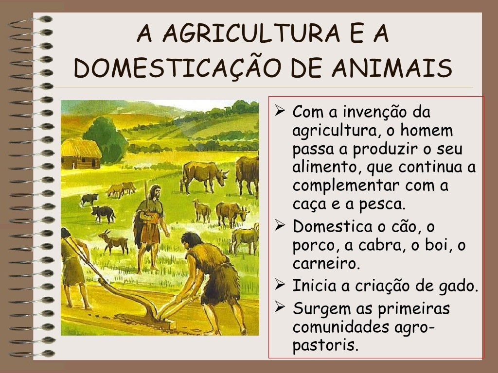 O Que São Comunidades Tradicionais Cite Três Exemplos Delas