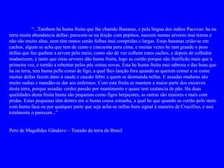 “...Tambem ha huma fruita que lhe chamão Bananas, e pela lingua dos indios Pacovas: ha na
terra muita abundancia dellas: parecem-se na feição com pepinos, nascem numas arvores mui tenras e
não são muito altas, nem têm ramos senão folhas mui compridas e largas. Estas bananas crião-se em
cachos, algum se acha que tem de cento e cincoenta pera cima, e muitas vezes he tam grande o peso
dellas que faz quebrar a arvore pelo meio; como são de vez colhem estes cachos, e depois de colhidos
madurecem, e tanto que estas arvores dão huma fruita, logo as cortão porque não frutificão mais que a
primeira vez, e tornão a rebentar pelos pés outras novas. Esta he huma fruita mui sabrosa e das boas que
ha na terra, tem huma pelle como de figo, a qual lhes lanção fora quando as querem comer e se come
muitas dellas fazem dano á saude e causão febre a quem se desmanda nellas. E assadas maduras são
muito sadias e mandão-se dar aos enfermos. Com esta fruita se mantem a maior parte dos escravos
desta terra, porque assadas verdes passão por mantimento e quase tem sustancia de pão. Ha duas
qualidades desta fruita huma são pequenas como figos berjaçotes, as outras são maiores e mais com
pridas. Estas pequenas têm dentro em si huma cousa estranha, a qual he que quando as cortão pelo meio
com huma faca ou por qualquer parte que seja acha-se nellas hum signal á maneira de Crucifixo, e assi
totalmente o parecem...”


Pero de Magalhães Gândavo – Tratado da terra do Brasil
 