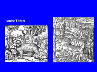 André Thévet
 
