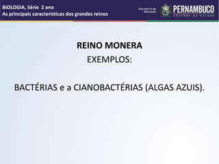 BIOLOGIA, Série 2 ano
As principais características dos grandes reinos
REINO MONERA
EXEMPLOS:
BACTÉRIAS e a CIANOBACTÉRIAS (ALGAS AZUIS).
 