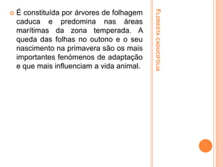 É constituída por árvores de folhagem
caduca e predomina nas áreas
marítimas da zona temperada. A
queda das folhas no outono e o seu
nascimento na primavera são os mais
importantes fenómenos de adaptação
e que mais influenciam a vida animal.

FLORESTA CADUCIFÓLIA



 