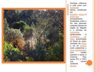GARRIGUE

Garrigue refere-se
a uma zona com
vegetação
densa, constituída
por
arbustos, maquis e
gramíneas
principalmente
localizadas entre o
fim das planícies
costeiras típicas da
região do Magreb
e o começo de
montanhas
pertencentes
à
Cordilheira
do
Atlas, encontradas
no litoral do nortenoroeste da África
e sul da Europa
onde predomina o
clima mediterrâneo
com
verões
quentes e secos e
invernos
frios
(entre 0ºC a 15ºC)
que
variam
conforme
a
altitude.

 
