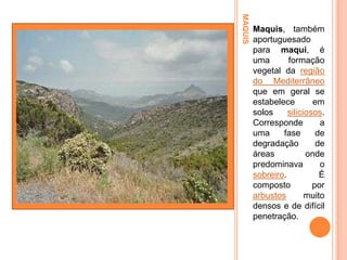 MAQUIS

Maquis, também
aportuguesado
para maqui, é
uma
formação
vegetal da região
do Mediterrâneo
que em geral se
estabelece
em
solos
siliciosos.
Corresponde
a
uma
fase
de
degradação
de
áreas
onde
predominava
o
sobreiro.
É
composto
por
arbustos
muito
densos e de difícil
penetração.

 