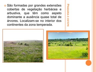 São formadas por grandes extensões
cobertas de vegetação herbácea e
arbustiva, que têm como aspeto
dominante a ausência quase total de
árvores. Localizam-se no interior dos
continentes da zona temperada.

PRADARIA E ESTEPE



 