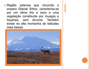 Região extensa que circunda o
oceano Glacial Ártico, caracteriza-se
por um clima frio e seco e uma
vegetação constituída por musgos e
líquenes, sem árvores. Também
existe na alta montanha de latitudes
mais baixas

TUNDRA



 