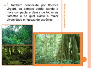 É também conhecida por floresta
virgem, ou sempre verde, sendo a
mais compacta e densa de todas as
florestas e na qual existe a maior
diversidade e riqueza de espécies.

FLORESTA EQUATORIAL



 