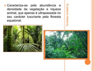 Caracteriza-se pela abundância e
densidade da vegetação e riqueza
animal, que apenas é ultrapassada no
seu carácter luxuriante pela floresta
equatorial.

FLORESTA TROPICAL



 