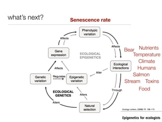 what’s next?   Senescence rate




                                 Bear Nutrients
                                     Temperature
                                       Climate
                                       Humans
                                     Salmon
                                 Stream Toxins
                                       Food
 